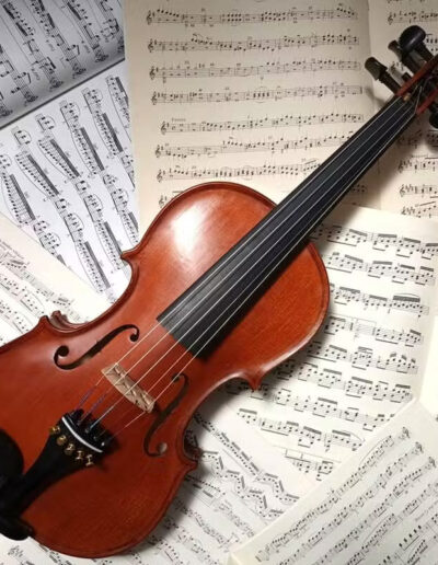 violin francisco alia