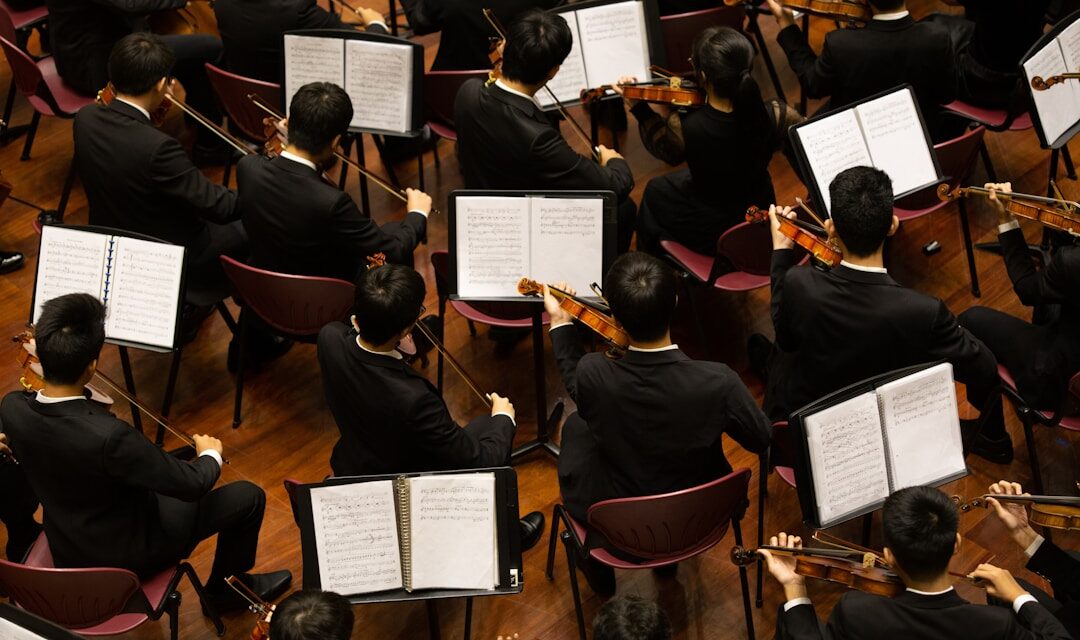 Se buscan violinistas para concierto benéfico en favor de los damnificados por la Dana