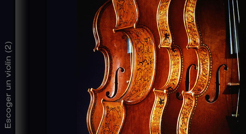 posterior Canguro fondo Cómo escoger un violín (2) - Deviolines